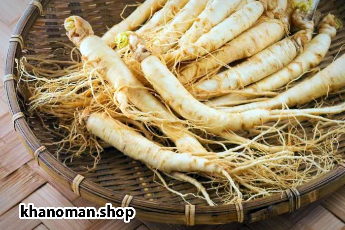 جنسینگ چاقی نی نی سایت, جنسینگ چسیت, جنسینگ چه خواصی دارد, جینسینگ چاقی صورت, جینسینگ چیست, چای جنسینگ و عسل نیوشا, چگونه جینسینگ مصرف کنیم